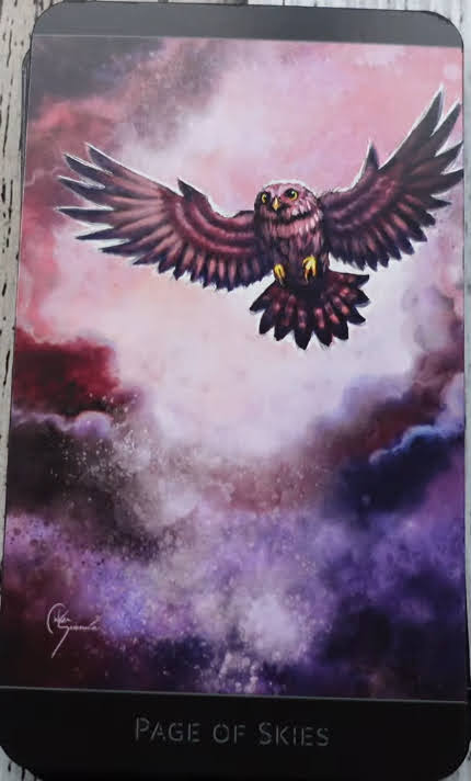 The Lost Forest Tarot